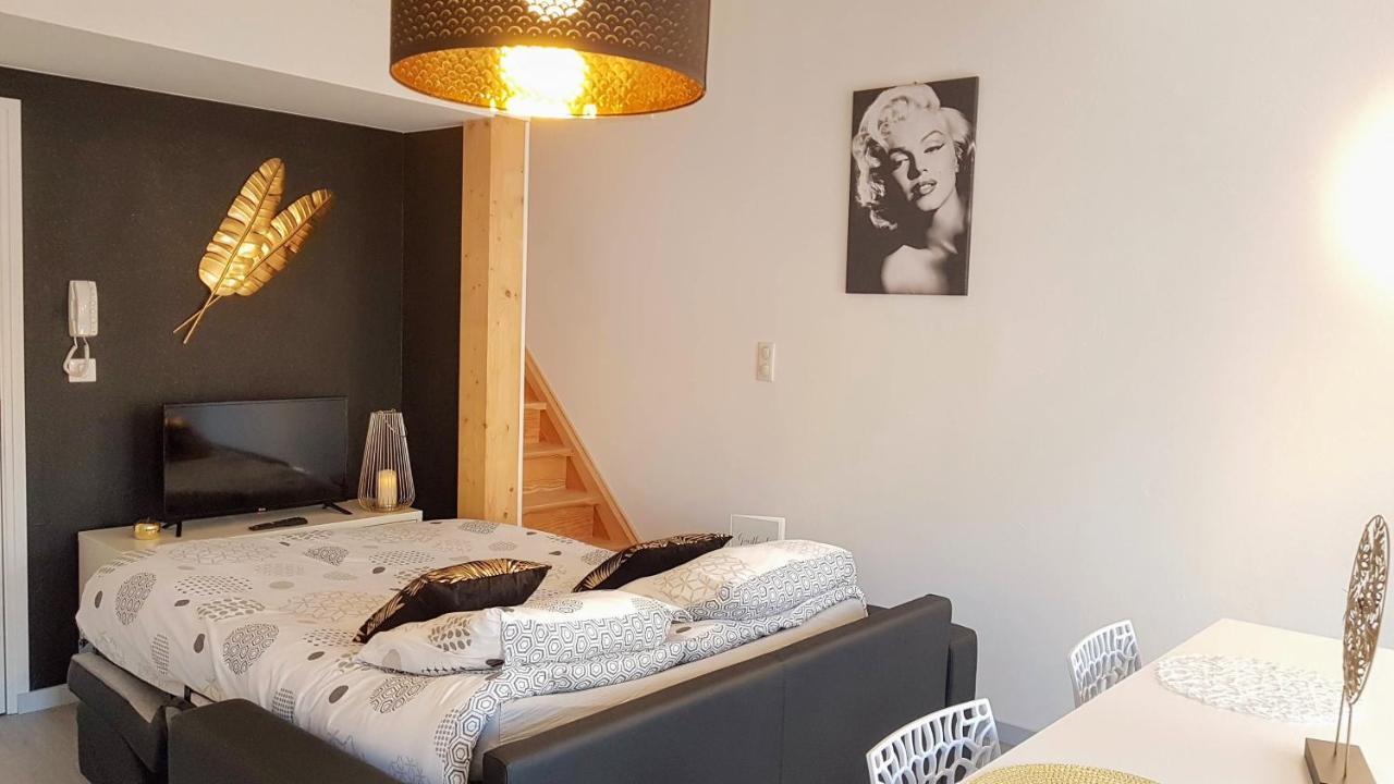 Les Nuits D'Anis - Appartements Hypercentre Le Puy-en-Velay Kültér fotó
